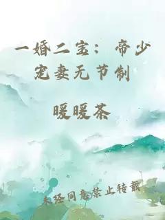 一婚二寶：帝少寵妻無(wú)節(jié)制