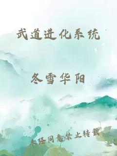 武道進(jìn)化系統(tǒng)