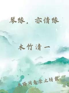 琴緣，亦情緣