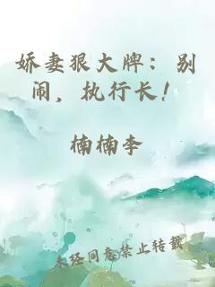 嬌妻狠大牌：別鬧，執(zhí)行長！