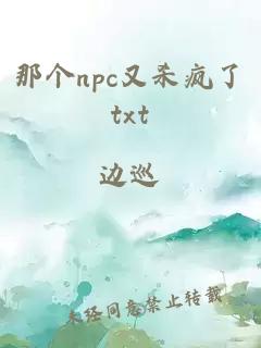 那個npc又殺瘋了txt