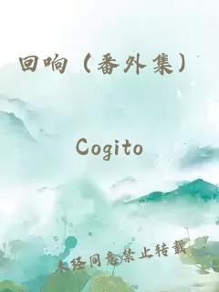 回響（番外集）