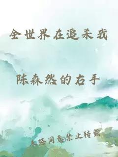 全世界在追殺我