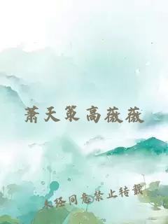 蕭天策高薇薇