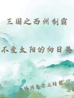 三國(guó)之西州制霸