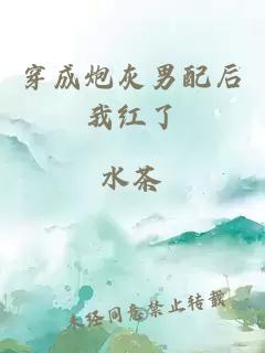 穿成炮灰男配后我紅了