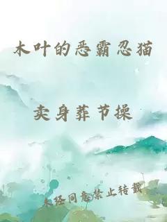 木葉的惡霸忍貓