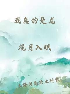 我真的是龍