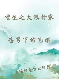 重生之大銀行家