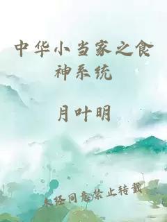中華小當(dāng)家之食神系統(tǒng)