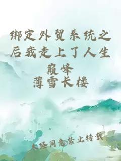 綁定外貿(mào)系統(tǒng)之后我走上了人生巔峰