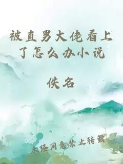 被直男大佬看上了怎么辦小說