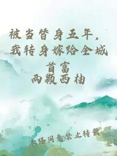 被當(dāng)替身五年，我轉(zhuǎn)身嫁給全城首富