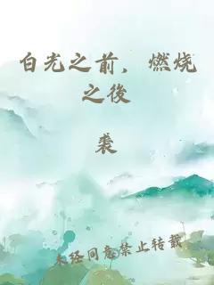 白光之前，燃燒之後