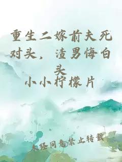重生二嫁前夫死對頭，渣男悔白頭