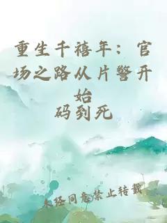 重生千禧年：官場之路從片警開始