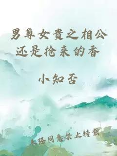 男尊女貴之相公還是搶來的香