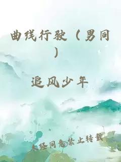 曲線行駛（男同）