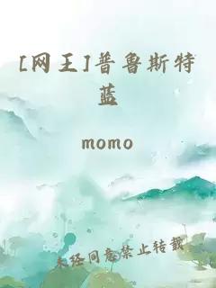 [網(wǎng)王]普魯斯特藍(lán)