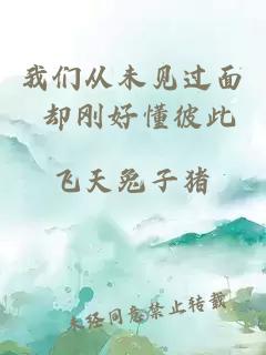 我們從未見過面 卻剛好懂彼此