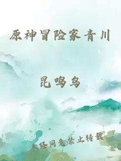 原神冒險(xiǎn)家青川