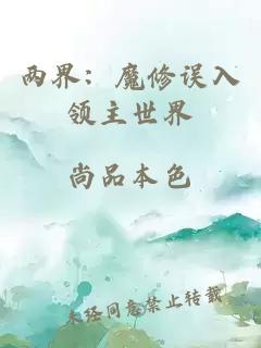 兩界：魔修誤入領(lǐng)主世界