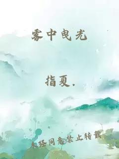 霧中曳光