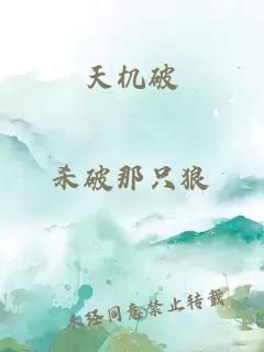 天機(jī)破