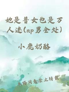 她是普女也是萬人迷(np男全處)