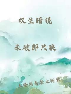雙生暗鏡