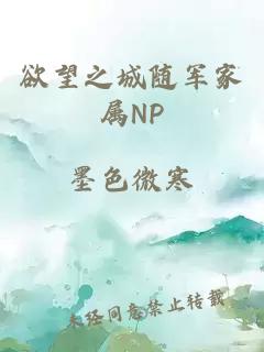 欲望之城隨軍家屬NP