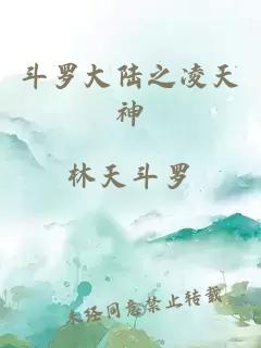斗羅大陸之凌天神