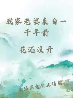 我家老婆來自一千年前