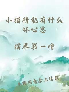 小貓精能有什么壞心思