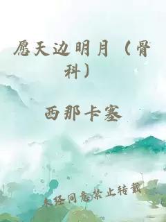愿天邊明月（骨科）