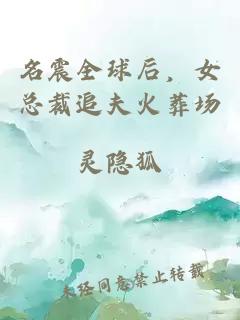 名震全球后，女總裁追夫火葬場