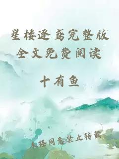 星樓逐鳶完整版全文免費(fèi)閱讀