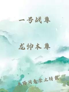 一號戰(zhàn)尊