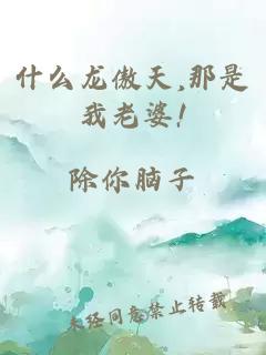 什么龍傲天,那是我老婆!