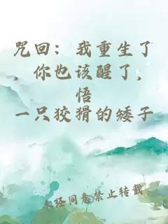 咒回：我重生了，你也該醒了，悟