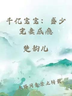 千億寶寶：盛少寵妻成癮