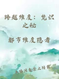 跨越維度：梵識之秘