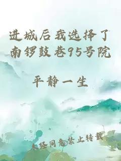 進(jìn)城后我選擇了南鑼鼓巷95號院