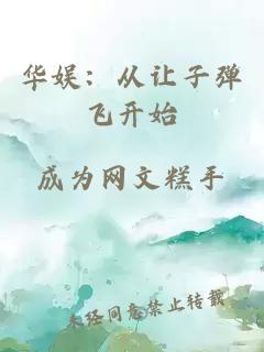 華娛：從讓子彈飛開始