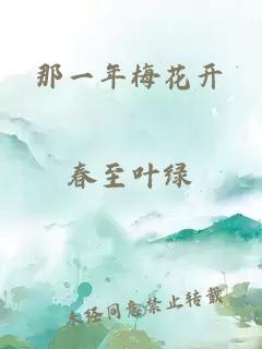 那一年梅花開