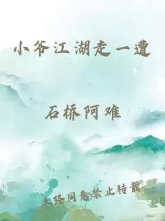 小爺江湖走一遭