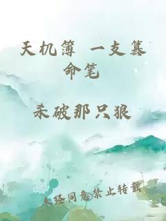 天機簿 一支篡命筆