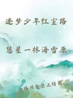 逐夢少年紅塵路