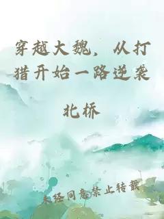 穿越大魏，從打獵開始一路逆襲