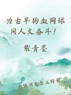 為古早狗血網(wǎng)球同人文奮斗！
